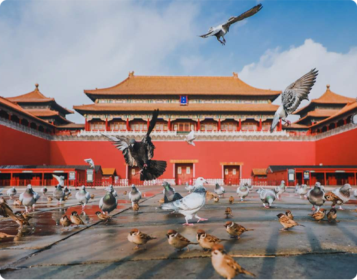 China’s Political, Cultural & Innovation Capital