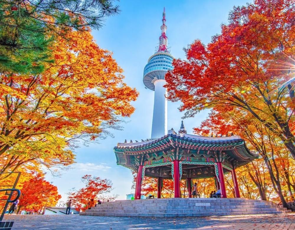 South Korea’s Dynamic Capital of Innovation, Business & Culture