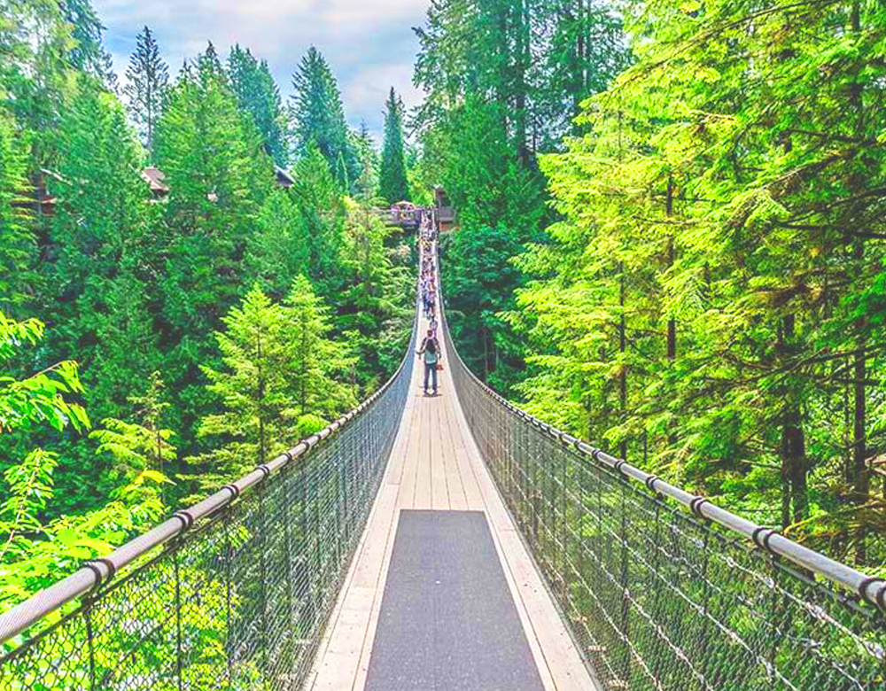 Why Visit Vancouver