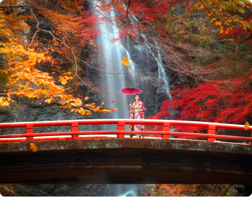 Discover Kyoto with OSAKALIMO