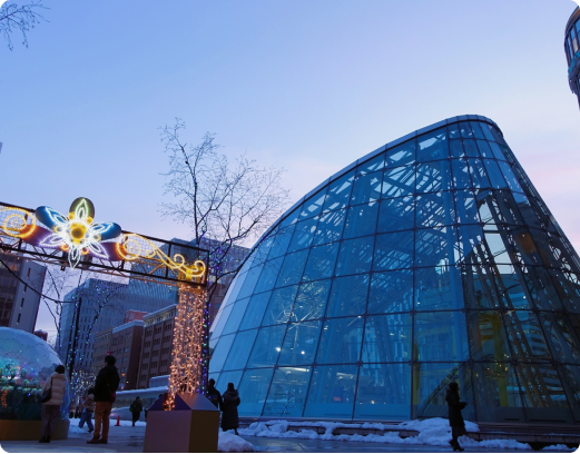 Sapporo’s Winter Charm